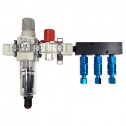 Alpha Filter/Regulator Manifold Systems