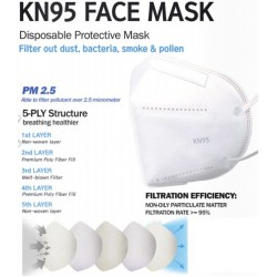 KN-95 Face Mask